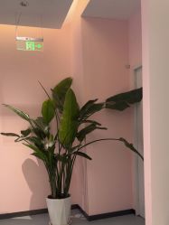 -郑州缔莱美医疗美容医院