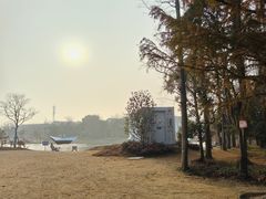 -上海长兴岛郊野公园