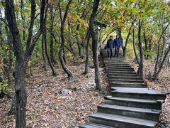 -帽儿山国家森林公园