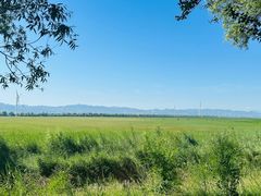 -野鸭湖国家湿地公园