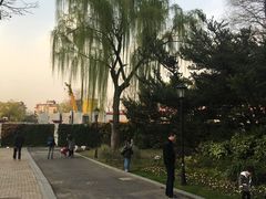 -龙之梦万丽酒店青餐厅