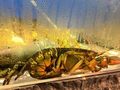 -鱼乐轩海鲜专门店