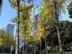 -重庆市江北嘴中央商务区中央公园