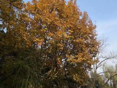 -黑龙江省森林植物园