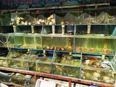 水产区-来之顺海鲜菜馆·青岛菜(栈桥店)