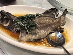 -川林海鲜酒家·湾仔传统早茶·粤菜