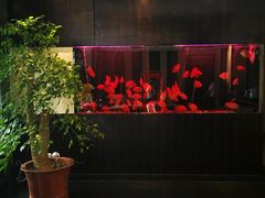 -大唐盲人按摩中心(黄山路店)