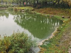 -美兰湖景区