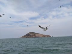 -海驴岛(荣成市)