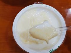 -德禄酸奶(莫家街店)