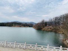-佛手湖郊野公园