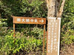 -周大娘牛乳(旧寨古村总店)