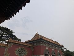 -北陵公园