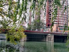 -成都市活水公园