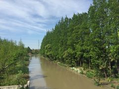 -上海长兴岛郊野公园