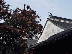 -耦园