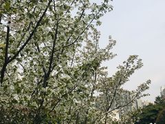 -大宁灵石公园西门票处