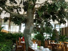 -老磨油饼(高陵店)