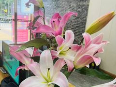 -远元头疗馆(江南万达店)