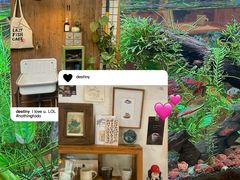 -懒鱼时光馆(沙坪坝店)