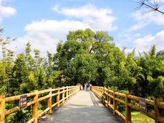 -苏家围·东江画廊旅游景区