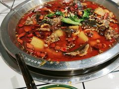 -晓彭肥肠鸡·泡椒鸡火锅(水木天地店)