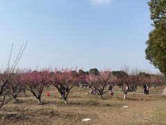 -南湖湿地公园