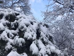 -香山公园