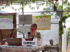 -马陆小张葡萄园农家乐