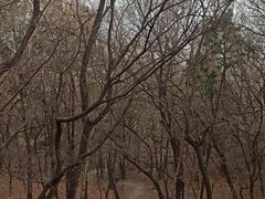 -香山公园-东宫门售票处