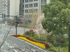 -红城阁·上海味道(四平路店)