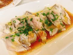 -和乐喜宴海鲜酒家(骏荣广场店)