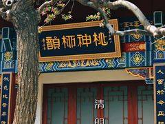 -桃花堤公园