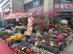 -碧桂园十里银滩