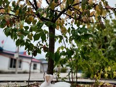 -庆岭迎宾园正宗活鱼馆