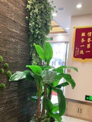 -芳朵美容养生SPA