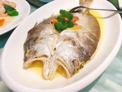 -一麦·龙岛(上海青浦店)