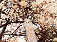 -龙华寺