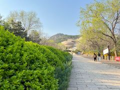 -府君山公园