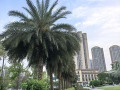 -府河摄影公园