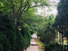 -观象山公园