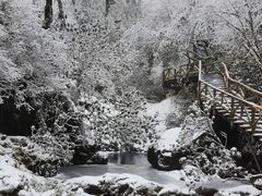-龙苍沟森林公园