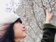 -东华门大街小区