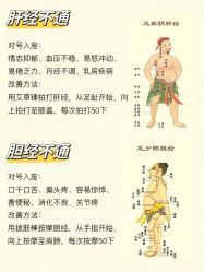 点击看大图 -玛莲朵·海菲秀冰珀科