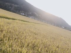 -南泥湾风景区