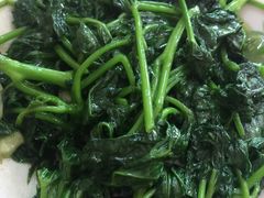 -南汇老顾农家乐采摘大团水蜜桃采摘店