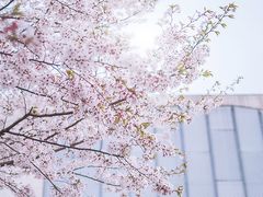-龙美术馆(西岸馆)