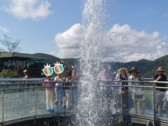 -海南槟榔谷黎苗文化旅游区