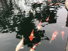-湖鲜楼