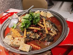 -探炉·香辣豆花烤鱼(笋岗宝能环球汇店)